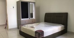 Maisson ara damansara  fully furnished rent