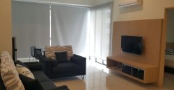 Maisson ara damansara  fully furnished rent