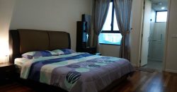 Jaya one residences  fully furnished rent