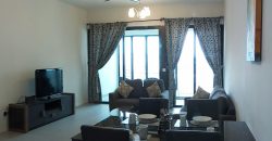 Jaya one residences  fully furnished rent