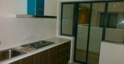 Maisson ara damansara 3 fully furnished sale