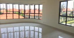 Maisson ara damansara 3 fully furnished rent