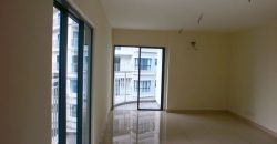 Maisson ara damansara  fully furnished sale