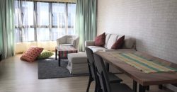 Maisson ara damansara 3 fully furnished rent