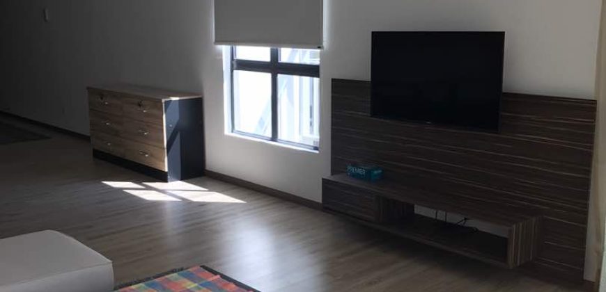 Maisson ara damansara 3 fully furnished rent