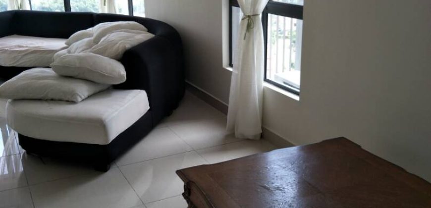 Maisson ara damansara  semi-furnished rent