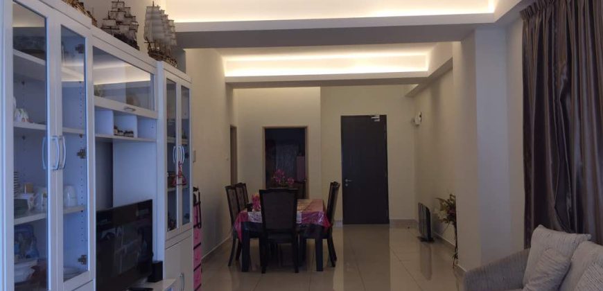 Maisson ara damansara 3 fully furnished sale