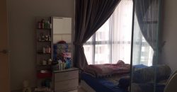 Maisson ara damansara 3 fully furnished sale