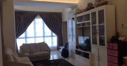 Maisson ara damansara 3 fully furnished sale