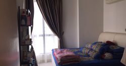 Maisson ara damansara 3 fully furnished sale