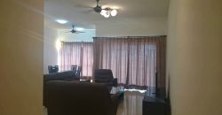 Sinaran ttdi 3 fully furnished rent