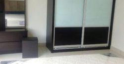 Maisson ara damansara  fully furnished rent