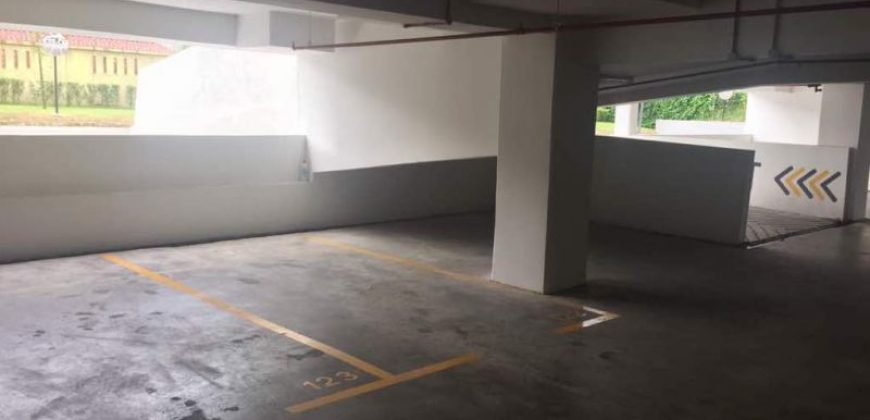 Maisson ara damansara  fully furnished rent