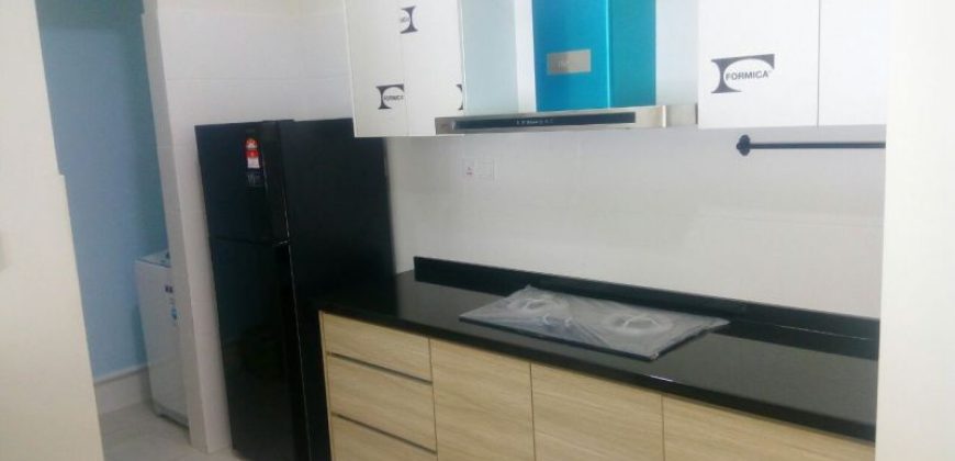 Maisson ara damansara  fully furnished rent