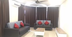 Maisson ara damansara  fully furnished rent