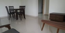 Maisson ara damansara  fully furnished rent