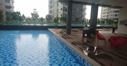 Maisson ara damansara  fully furnished rent