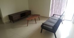 Maisson ara damansara  fully furnished rent