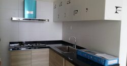 Maisson ara damansara  semi-furnished rent