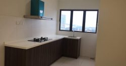 Maisson ara damansara  semi-furnished rent