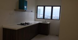 Maisson ara damansara  semi-furnished rent