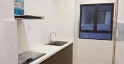 Maisson ara damansara  semi-furnished rent