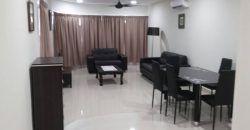 Maisson ara damansara 3 fully furnished rent