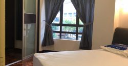 Casa damansara 2  fully furnished rent