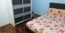 Casa damansara 2 3 fully furnished rent