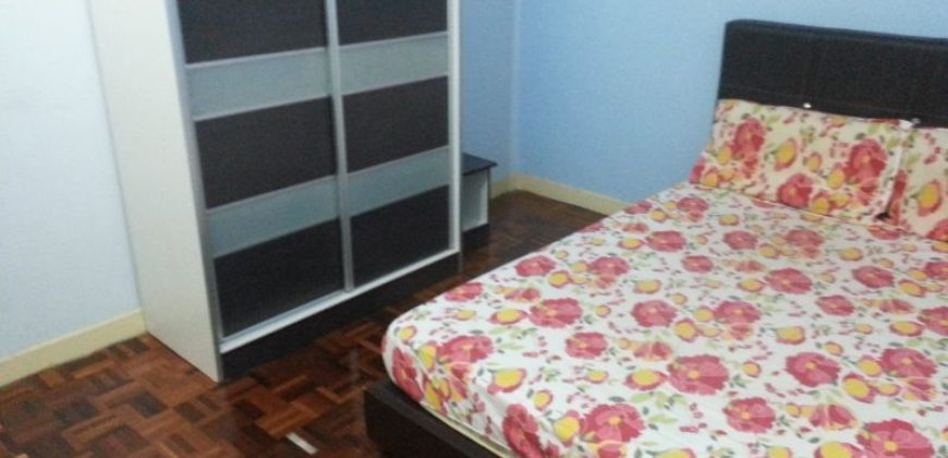 Casa damansara 2 3 fully furnished rent