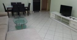 Casa damansara 2 3 fully furnished rent