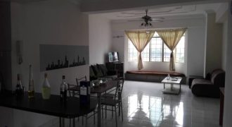 Kelana puteri  fully furnished sale