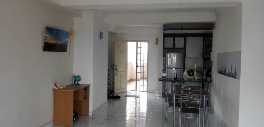 Kelana puteri  fully furnished rent