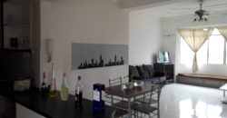 Kelana puteri  fully furnished rent