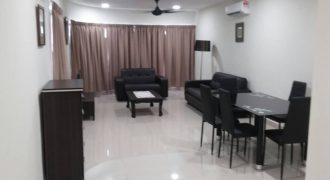 Maisson ara damansara 3 fully furnished rent