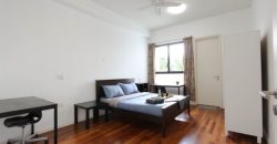 Jaya one residences 3 fully furnished rent