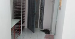 Kelana puteri  semi-furnished rent