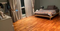 Sinaran ttdi 4 fully furnished rent