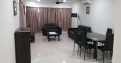 Maisson ara damansara 3 fully furnished rent