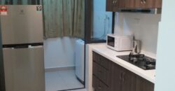 Maisson ara damansara 3 fully furnished rent