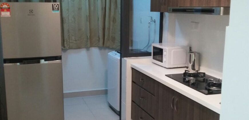 Maisson ara damansara 3 fully furnished rent