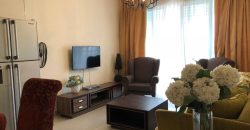 Oasis serviced suites  fully furnished rent