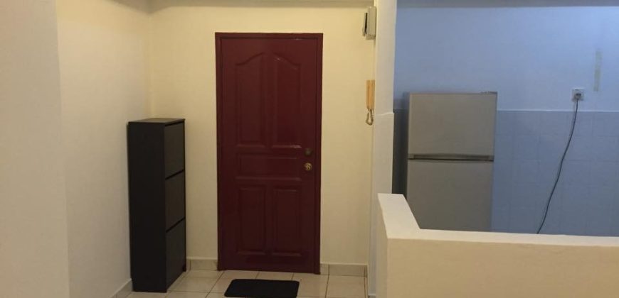 Kelana puteri  fully furnished rent