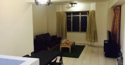 Kelana puteri  fully furnished rent