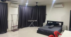 Maisson ara damansara  fully furnished rent