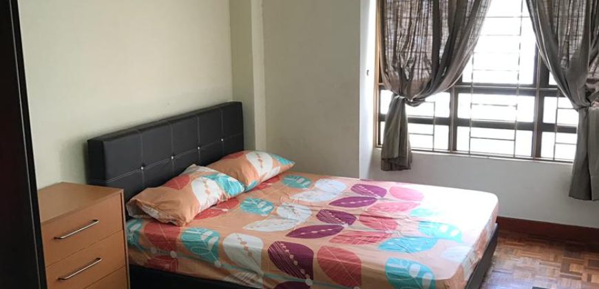 Casa damansara 2 3 fully furnished rent