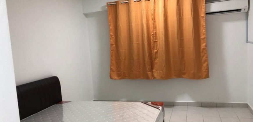 Kelana puteri  fully furnished rent