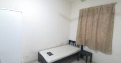 Zenith residences  fully furnished rent