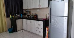 Bayu puteri apartment @ tropicana  semi-furnished sale