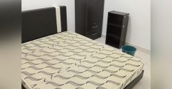 Kelana sentral  fully furnished rent